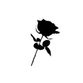 𝐌y Flowers "𝐌ATO"