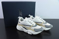 Dior B22