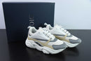 Dior B22