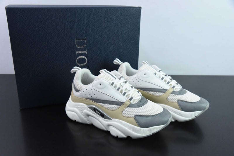 Dior B22