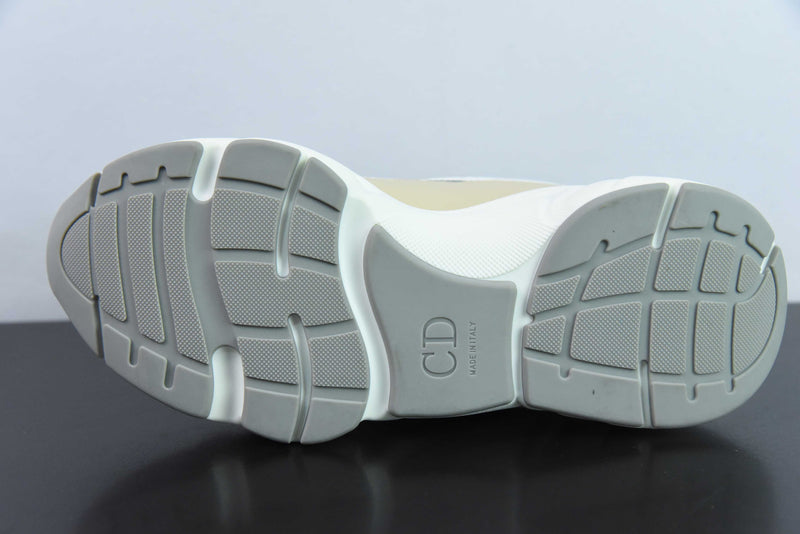 Dior B22