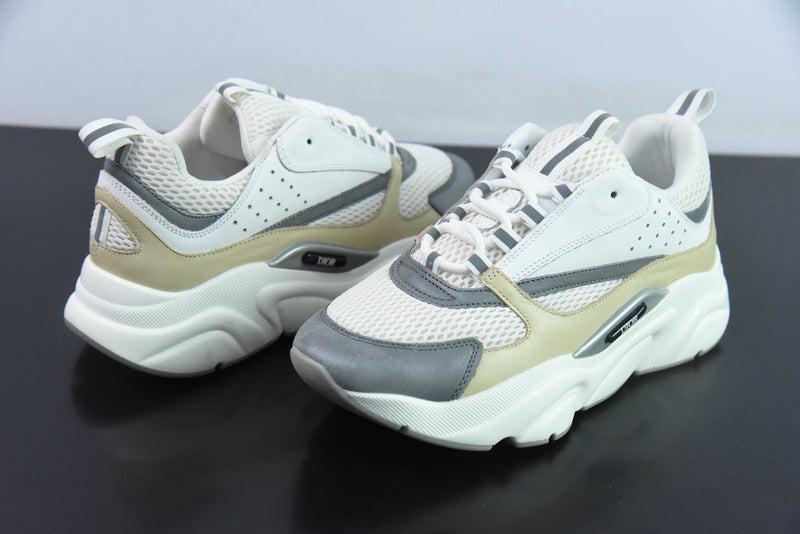 Dior B22