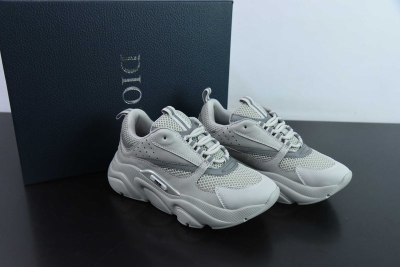 Dior B22