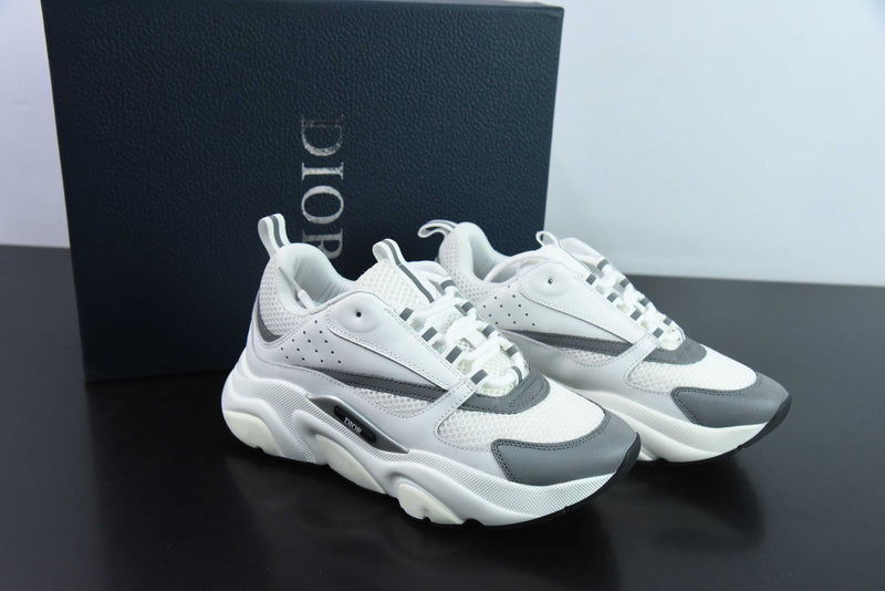Dior B22