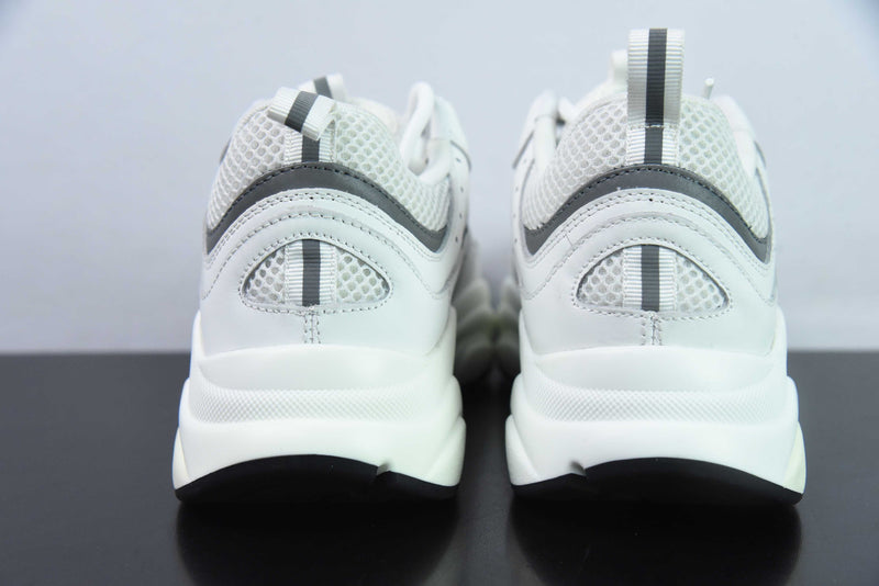 Dior B22