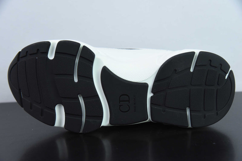 Dior B22