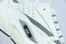 Dior B22