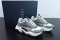 Dior B22